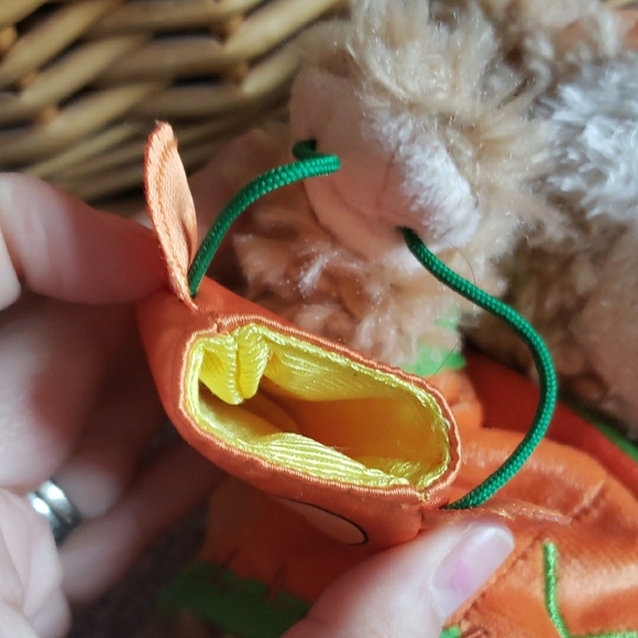 Adorable Pumpkin Bear Plush Toy - Picture 8 of 8